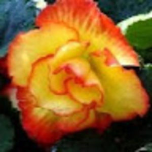 Meet your Posher, Joanna